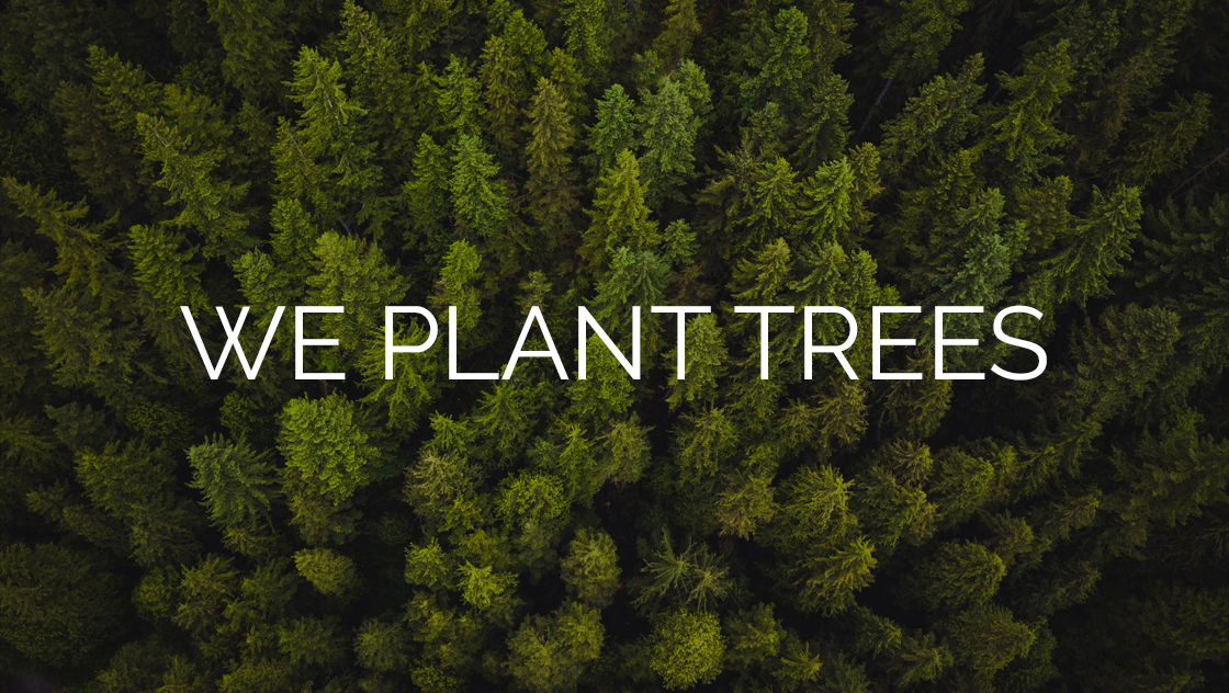 Load video: Video about tree planting partnership with One Tree Planted
